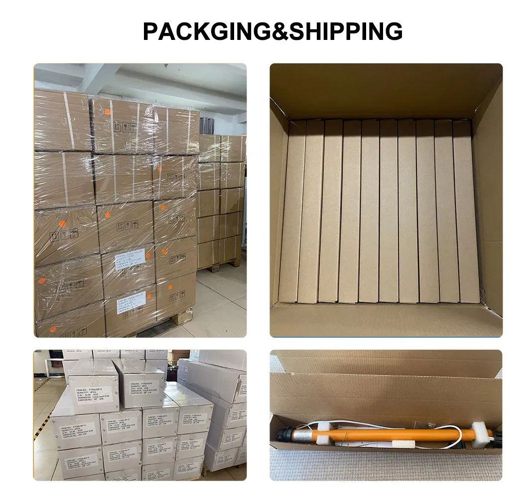 110V Customizable Dual Voltage Compatibility AC Tubular Motor for Efficient Performance
